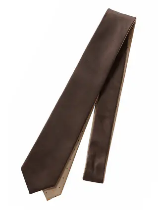 リバーシブルタイ