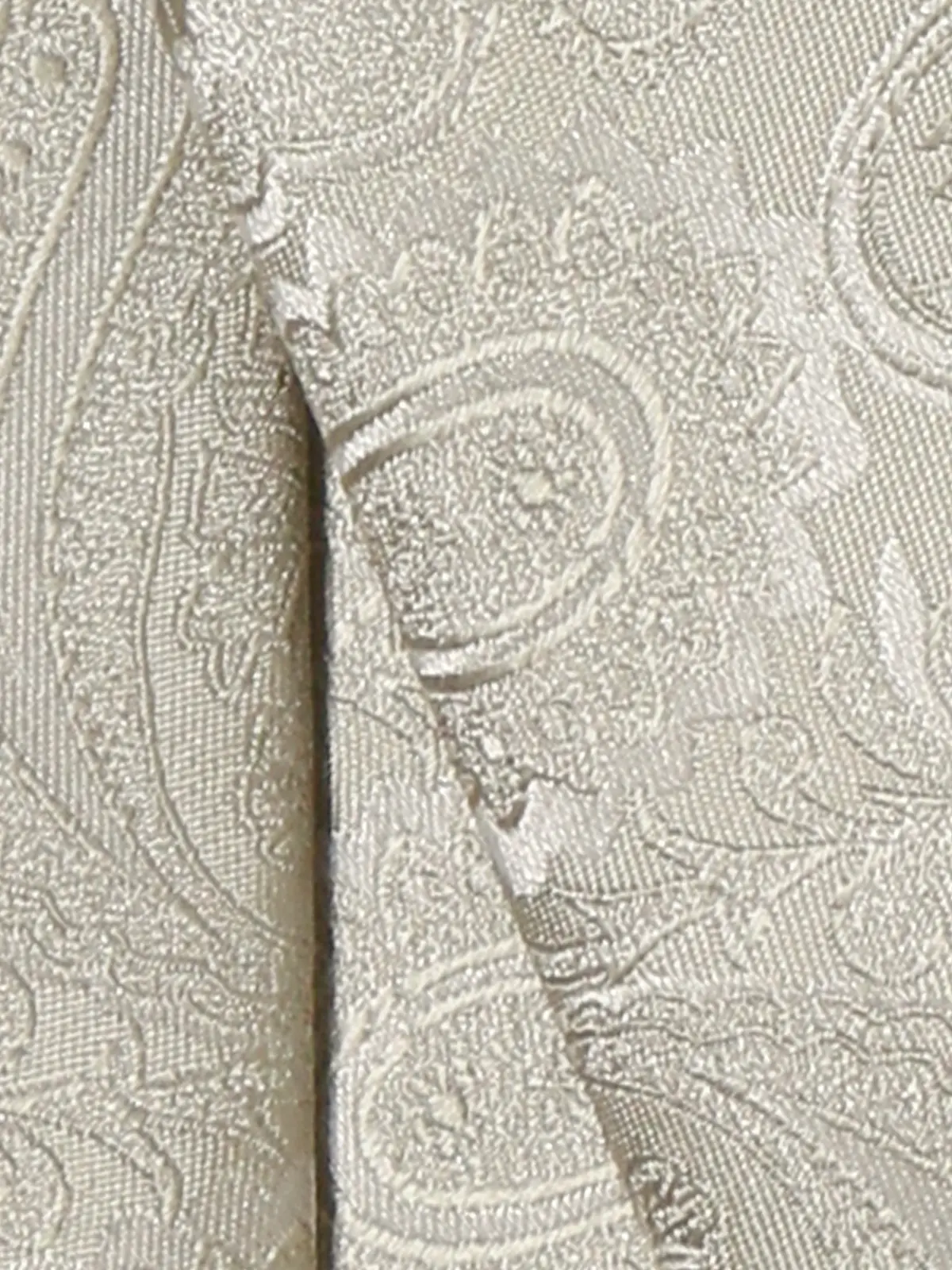 ナロータイ/ポリエステル/ペイズリー シルバー 0