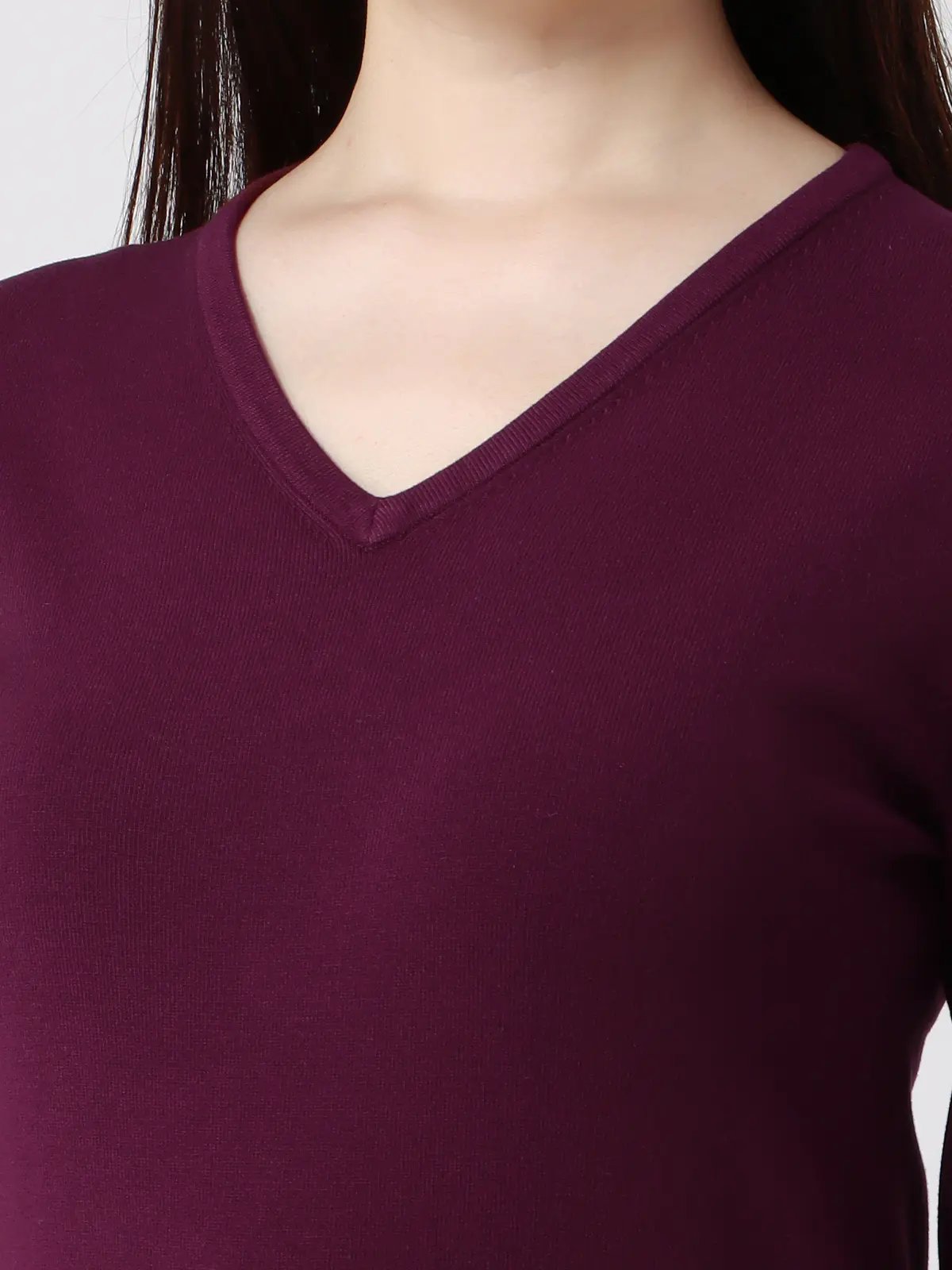Vネックニット／長袖／ハンドウォッシュ／ハイストレッチビスコース天竺／destyle パープル 38(9号）