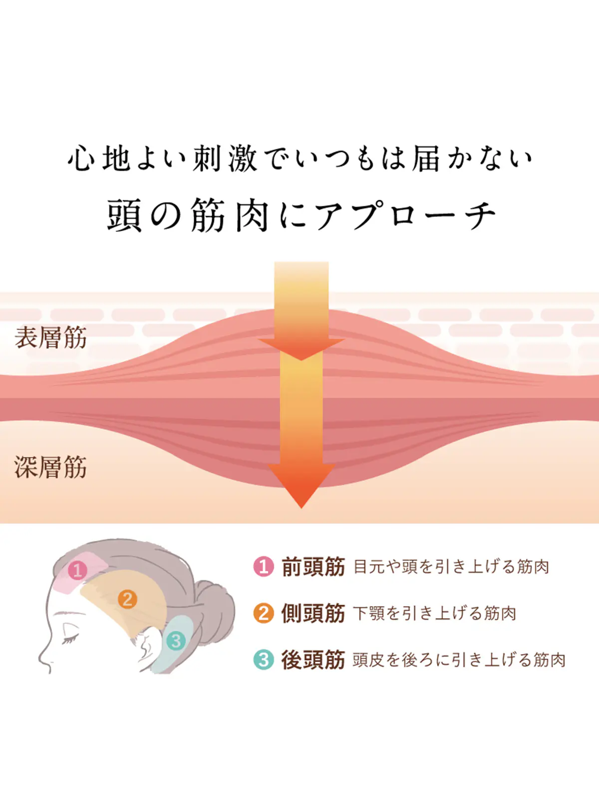 ▼WEB限定/NIPLUX /CORILAX/加圧式ヘッドケア グレー F