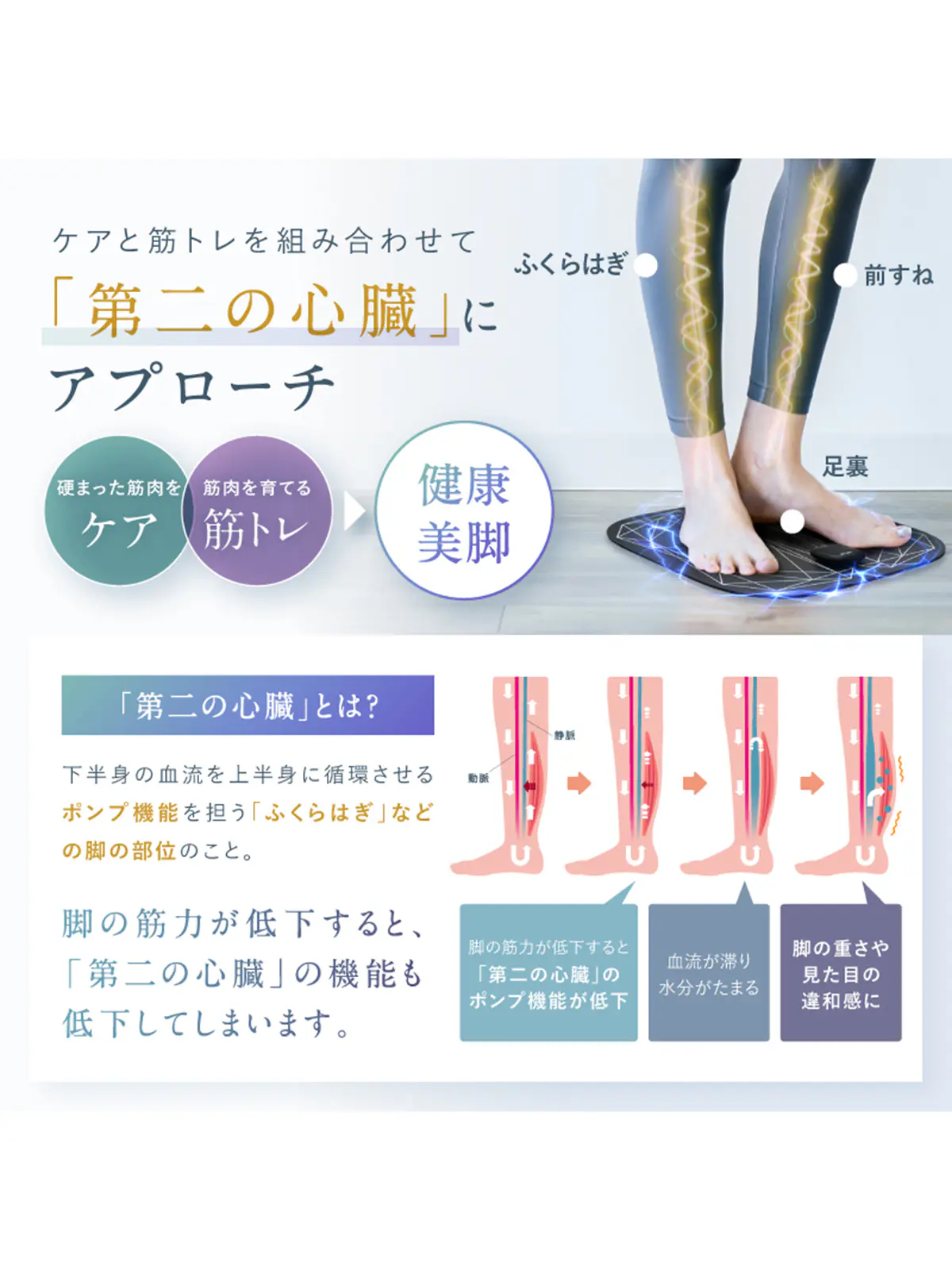 ▼WEB限定/NIPLUX /LEG FIT /レッグフィット ブラック F